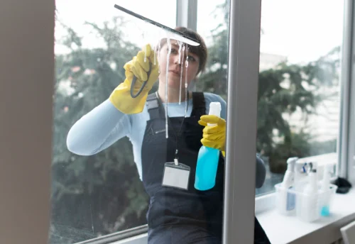 Nettoyage de vitres intérieures et extérieures à Millay